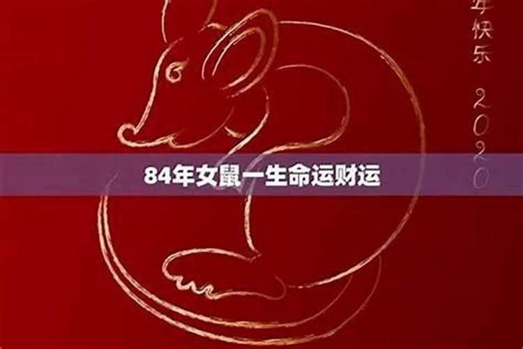 84年8月属鼠的女人命好不好