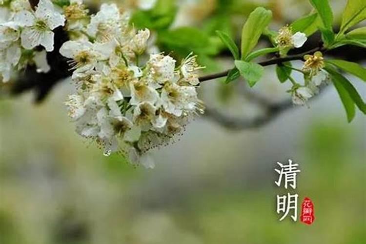 清明节哪天