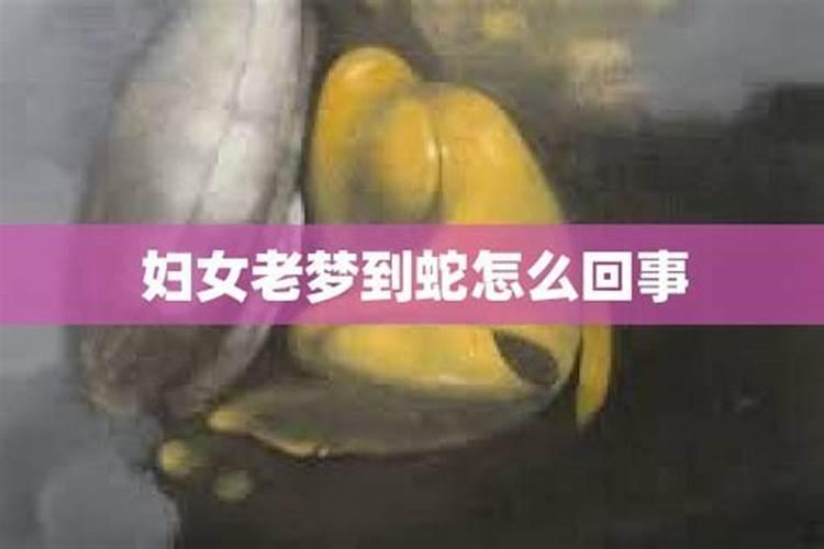 老梦到蛇是怎么回事啊