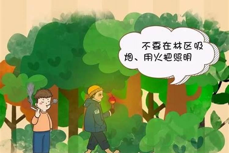 清明节森林防火注意哪些