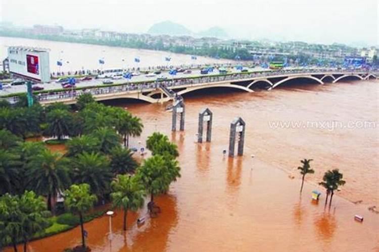 梦到下大雨河里涨水了还有好多鱼