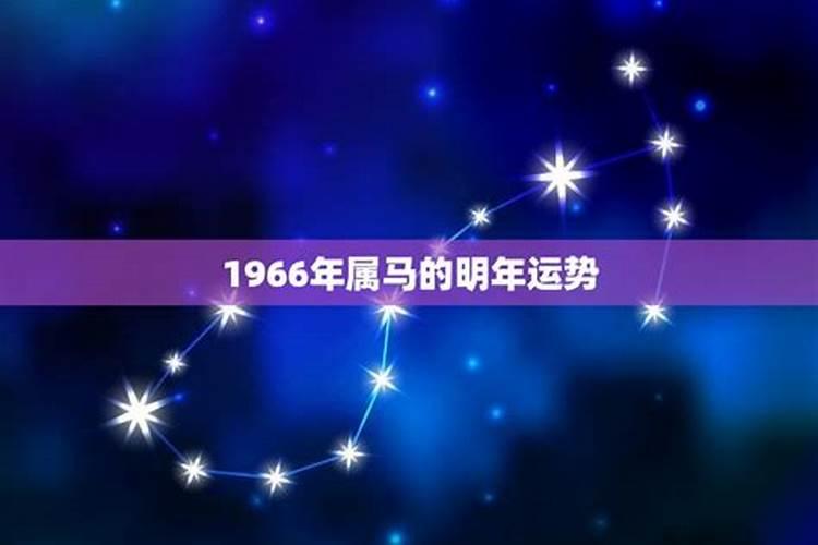 1943年11月17日是什么星座