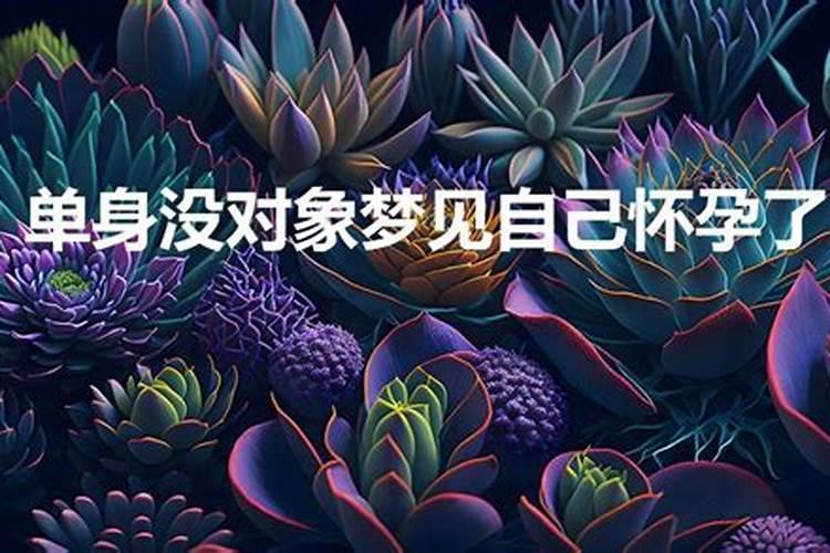 单身的人梦到自己怀孕了是什么意思