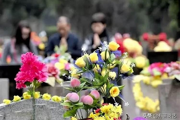 什么叫清明节祭扫日