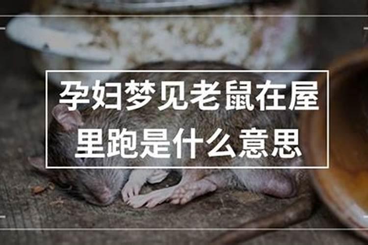 孕妇梦到老鼠死了是什么意思