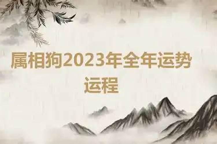 属相2023