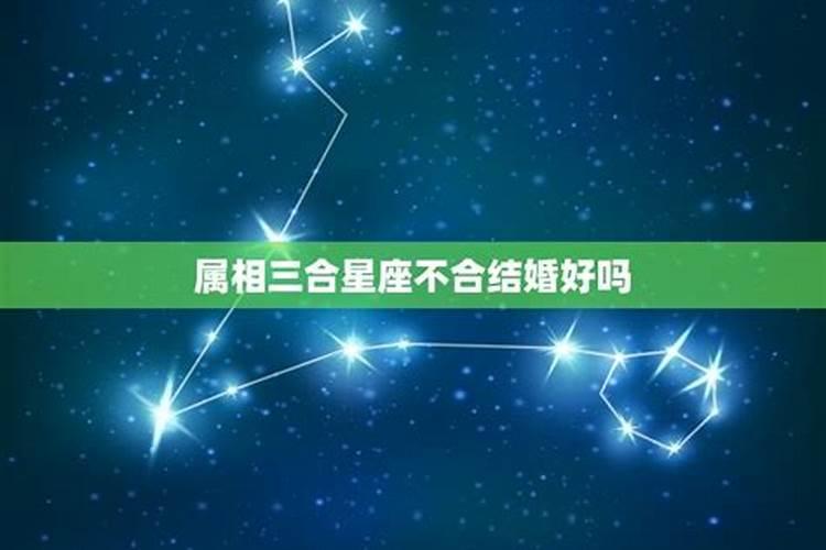 生肖不合星座合能结婚么