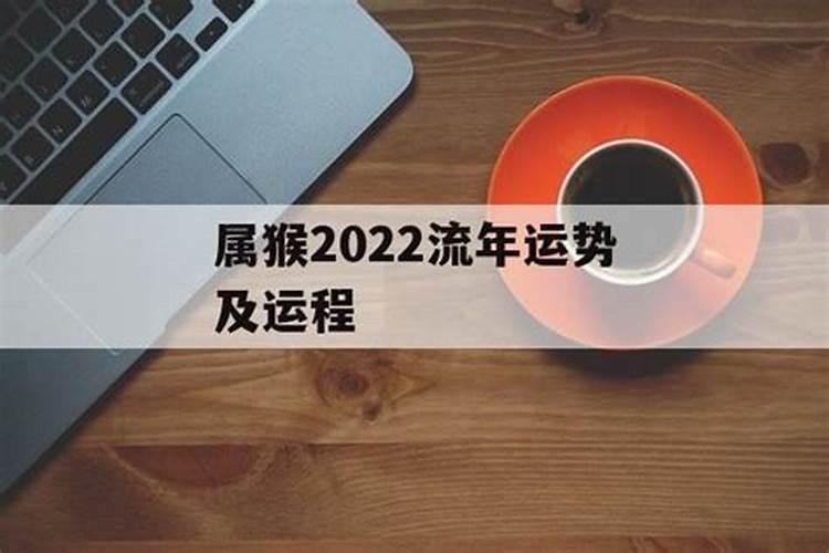 属猴2o21年爱情运势