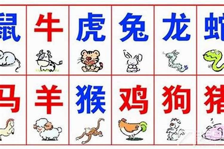 生肖冲八字不合