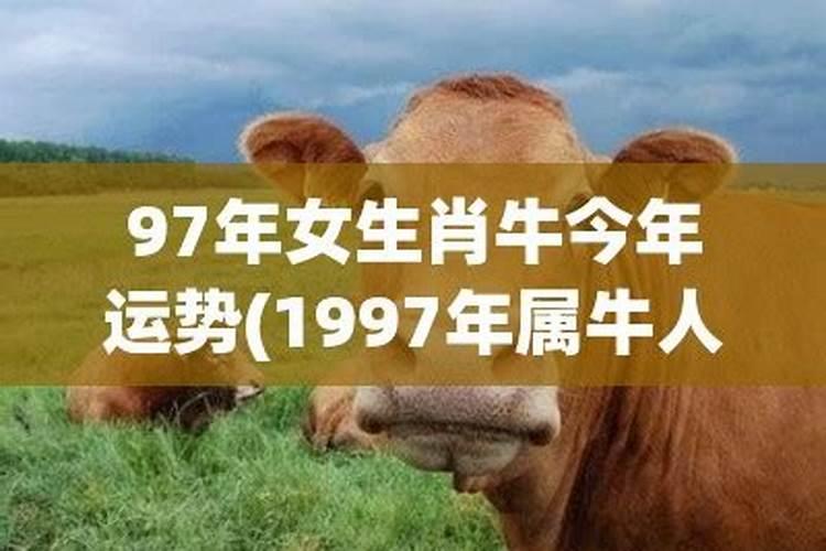 2021年1997年属牛人的全年运势女性