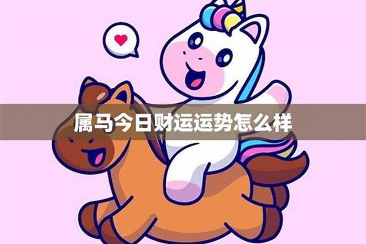 属马的明后两天运气