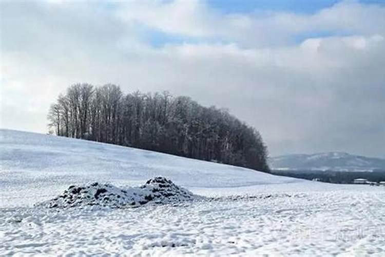 梦见别人说下雪