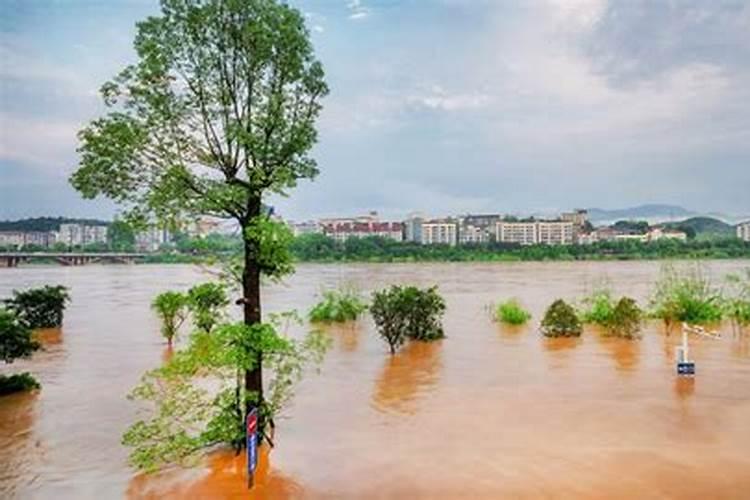 梦见洪水涨满河道