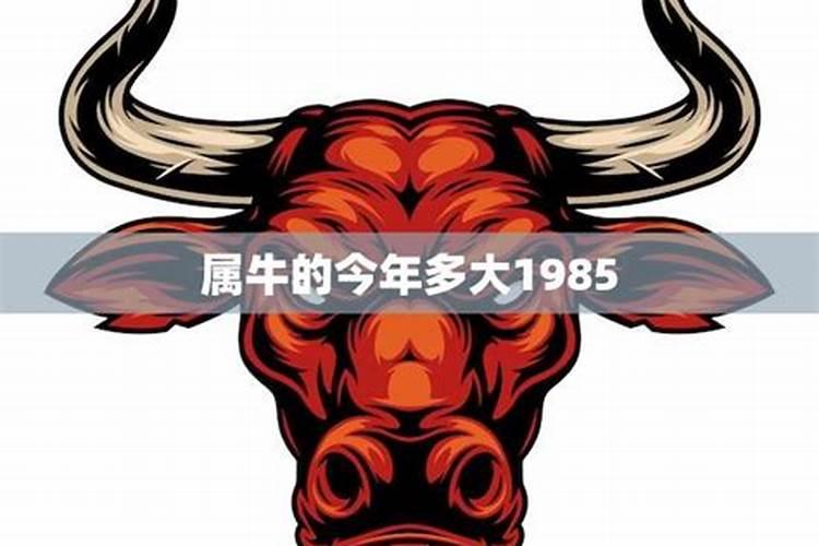 1985属牛今年运势2022