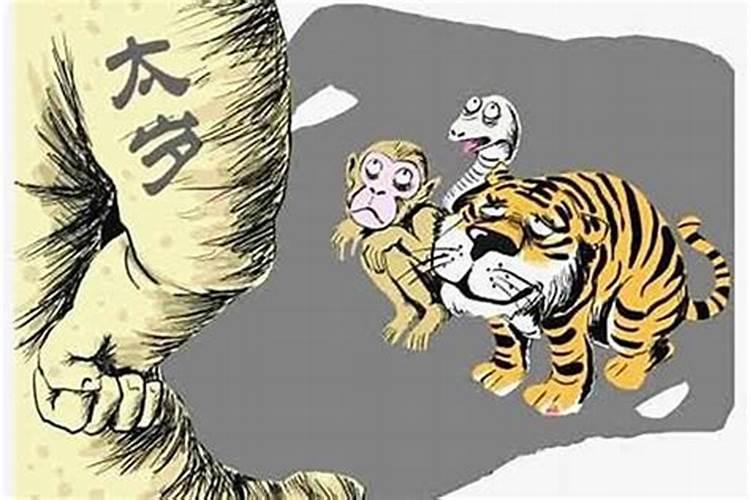 2022刑太岁怎么解属猪