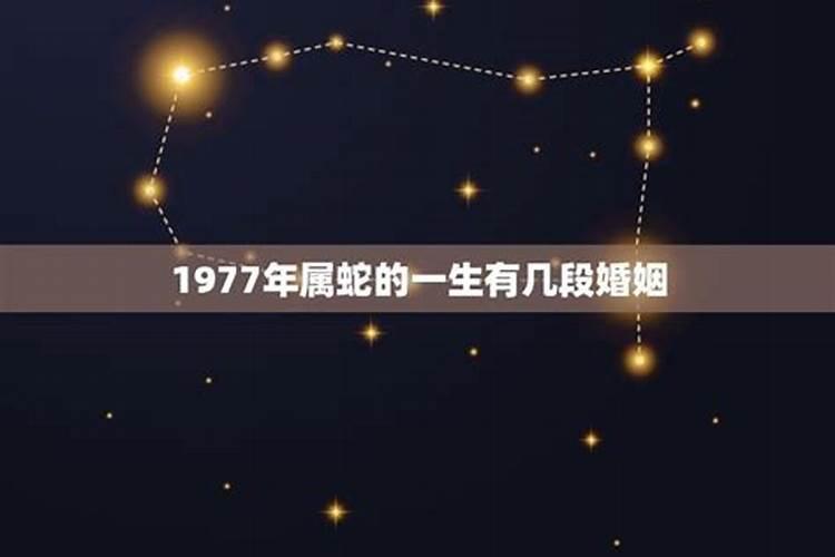 1977年属蛇人婚姻