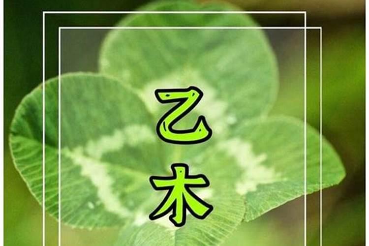 八字里四个火的人什么命