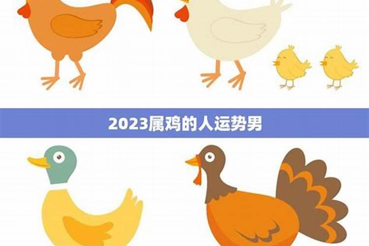 2023生肖鸡的运势如何