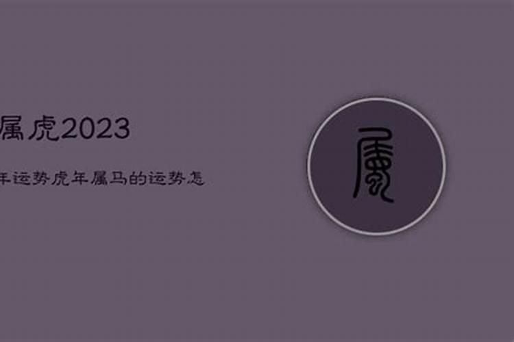 虎年属马运势2023年运势