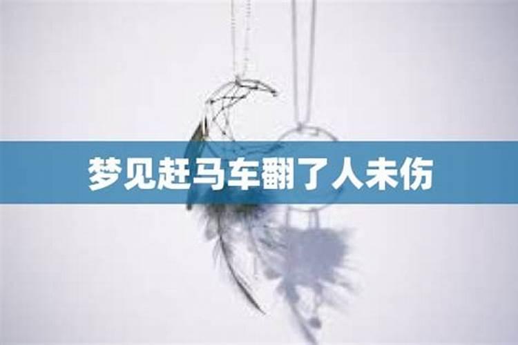 梦见马车翻了把我掉了下来