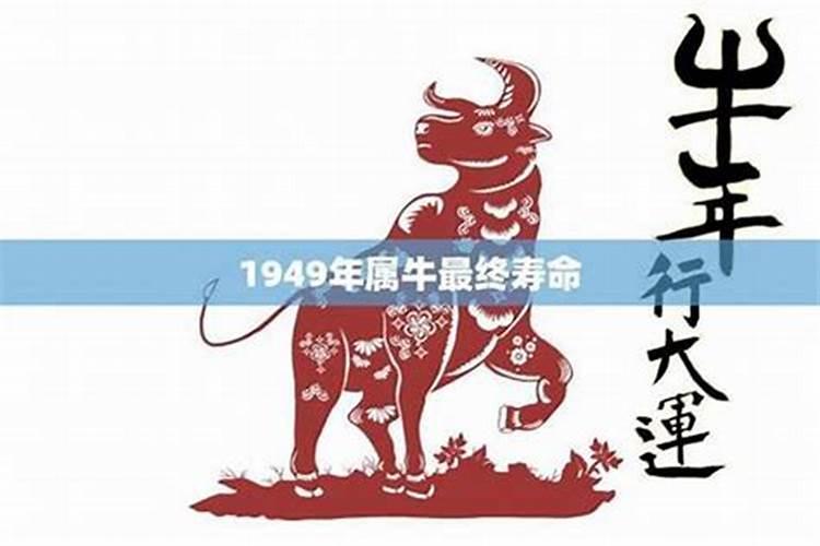 属牛1949年寿命长吗男