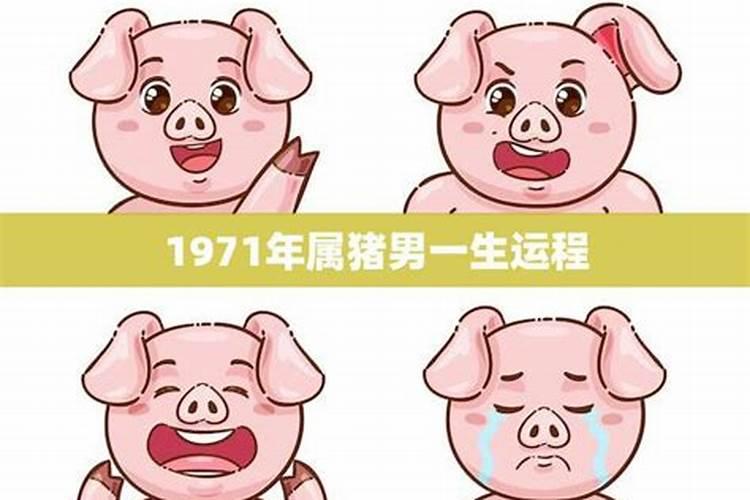 1971年属猪男一生运势