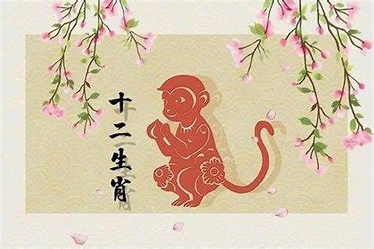 属猴女明年运势