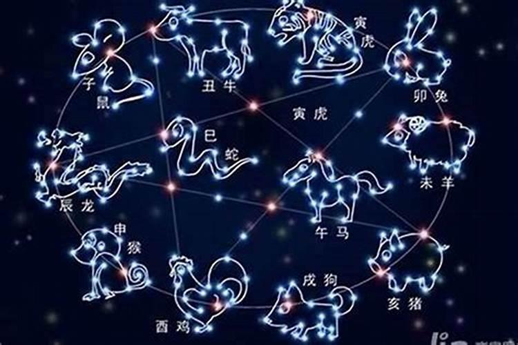 星座最配的星座是什么