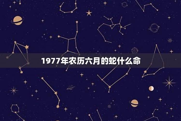 1977年属蛇是什么命