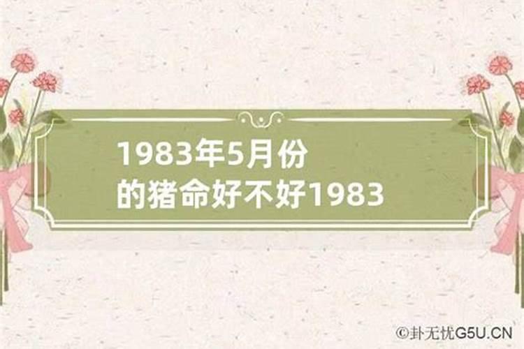 1983年属猪3月的是什么命