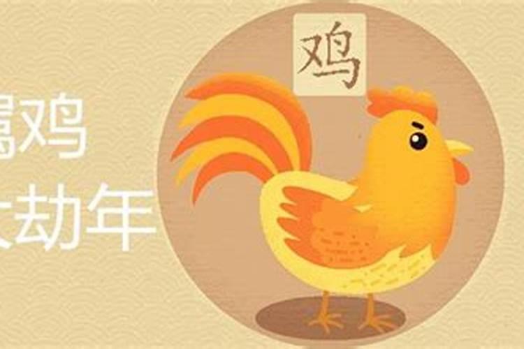 九三年属鸡的今年命运