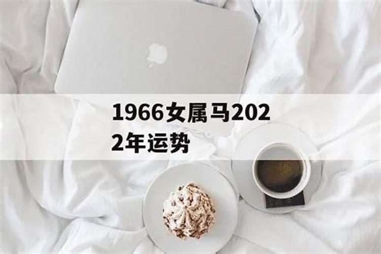 1966年属马在2022年运程