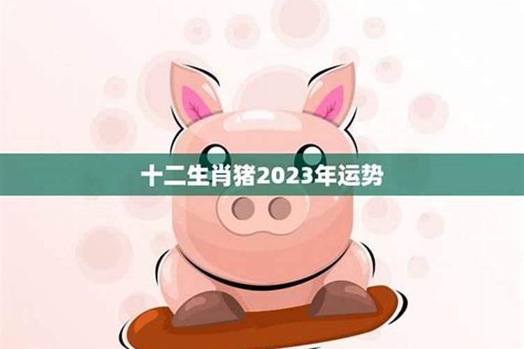 生肖猪2023年运势解析