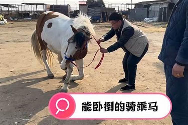 梦见自己骑摩托车带女人上坡