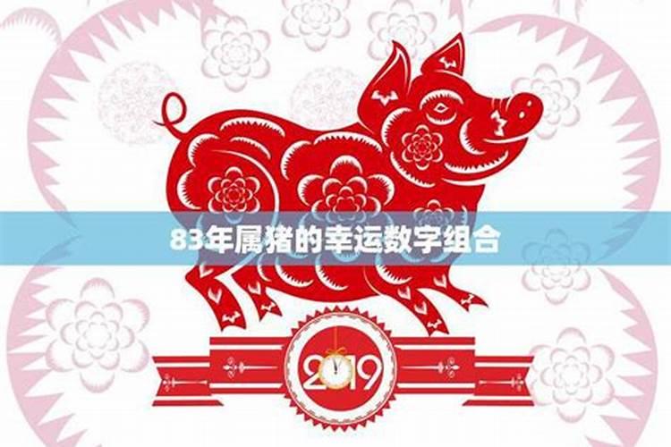 猪宝宝2024年运势及运程