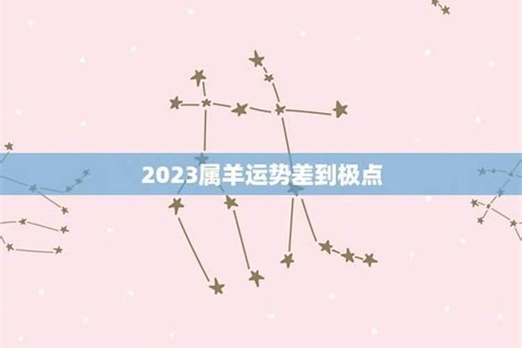 生肖羊在2023年的运势