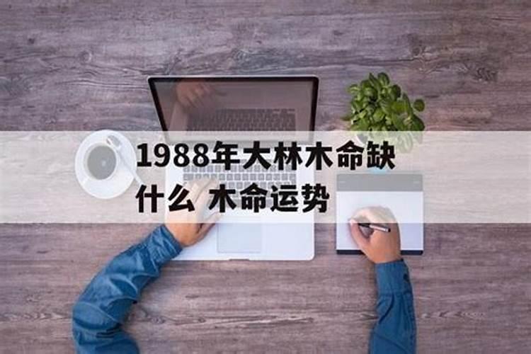 大林木2023年运势