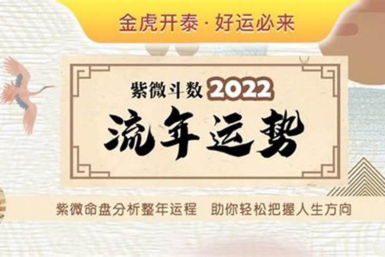 紫微2022年运势