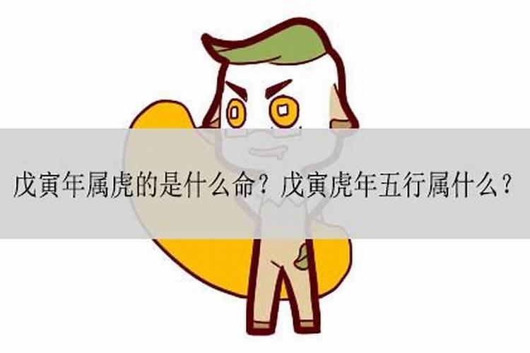 梦见猫咪预示着什么