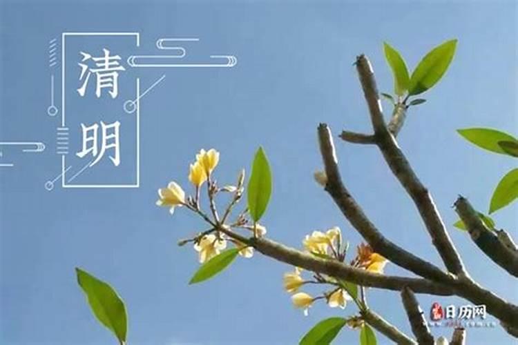 山东清明节忌讳哪些