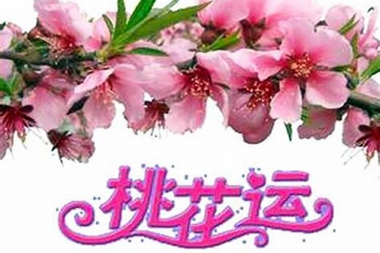 清明节如何旺运