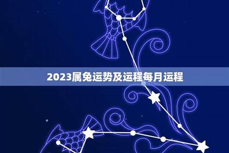 2023属兔运势及运程每月运程