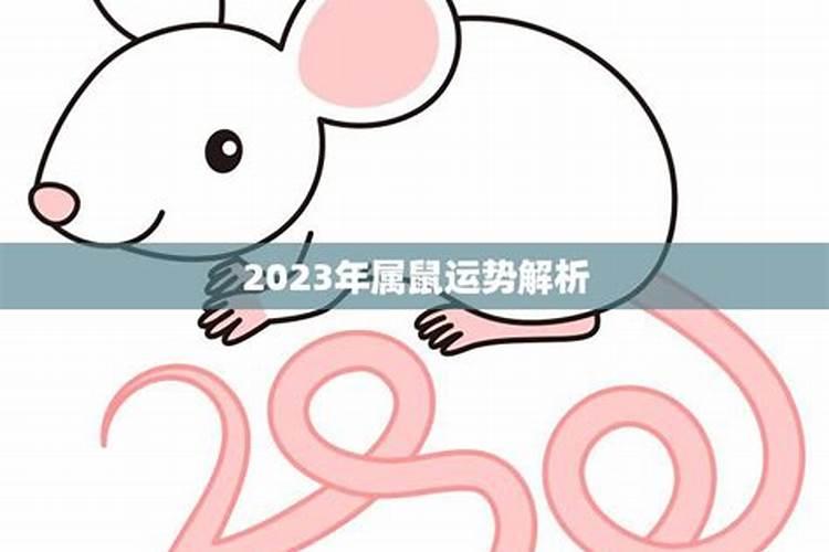 生肖鼠年2023年运势如何