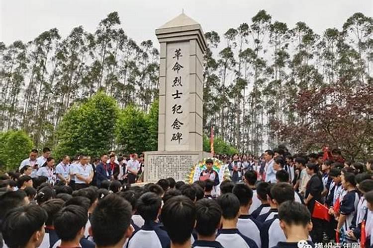 为什么鸡总是犯太岁