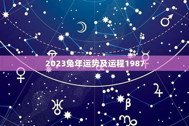 2023兔年运势