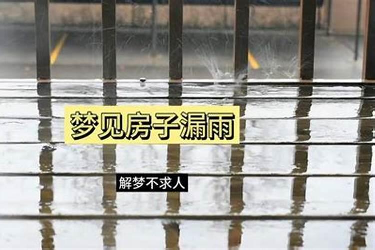 梦见房子漏雨什么预兆