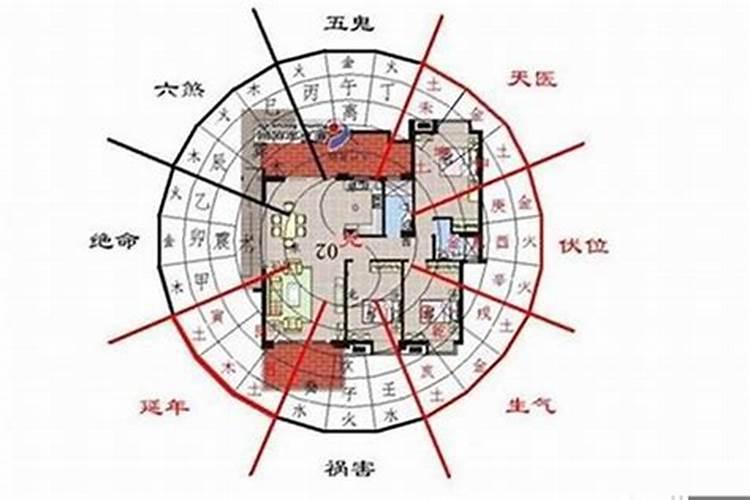 八字中支合土局有哪些