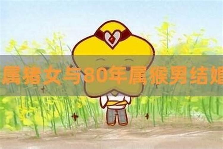 71年属猪和80年属猴的能结婚吗