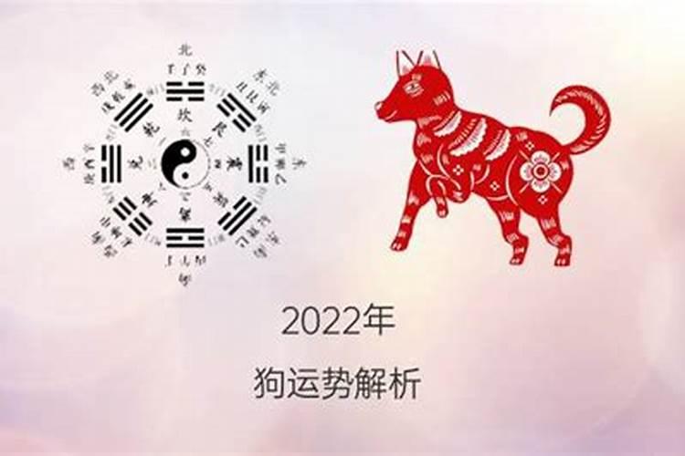 83年属狗2023年运势