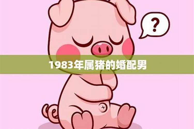 1983年属猪男的婚配